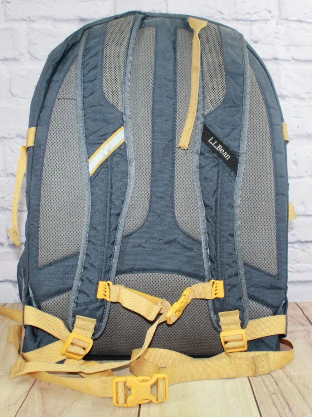 READ–LL Bean Unisex Adult Comfort Carry Portable Locker Pack 42L Backpack Hiking